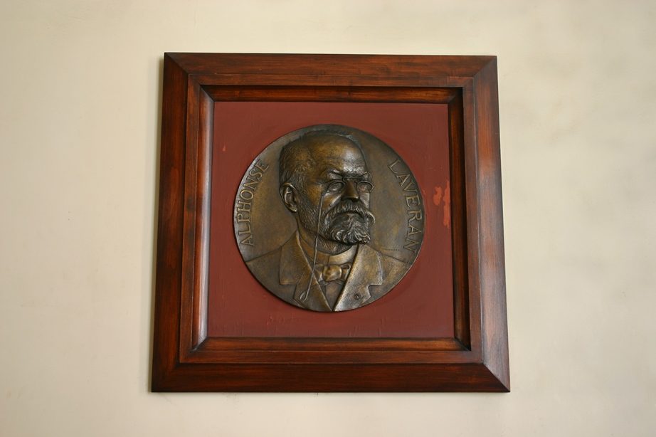 Alphonse Laveran medallion, Institut Pasteur, Paris (1).JPG